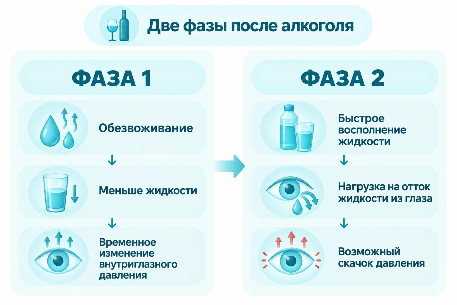Инфографика с двумя фазами после алкоголя