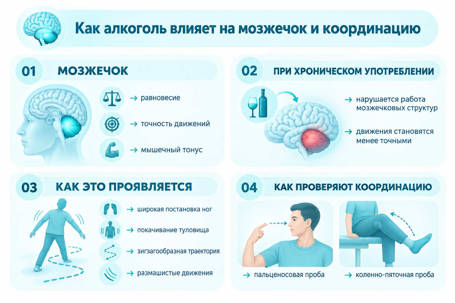 Инфографика влияние алкоголя на мозжечок